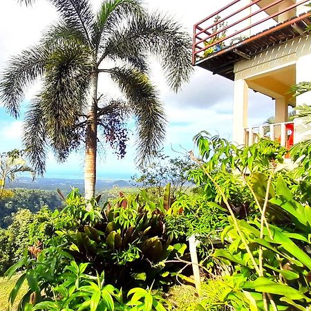 Dave Parker Eco Lodge Hotel 아피아 외부 사진