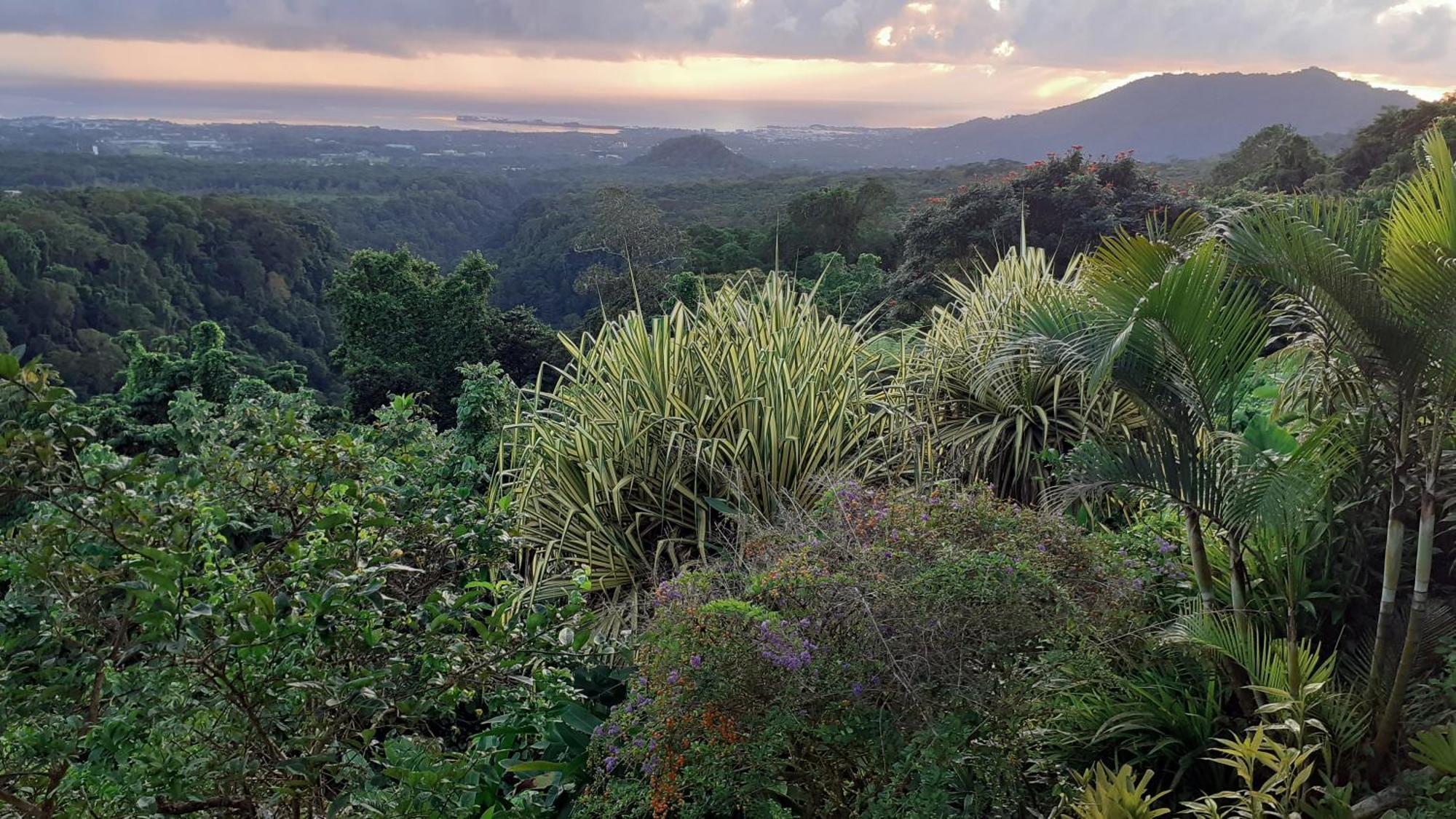 Dave Parker Eco Lodge Hotel 아피아 외부 사진