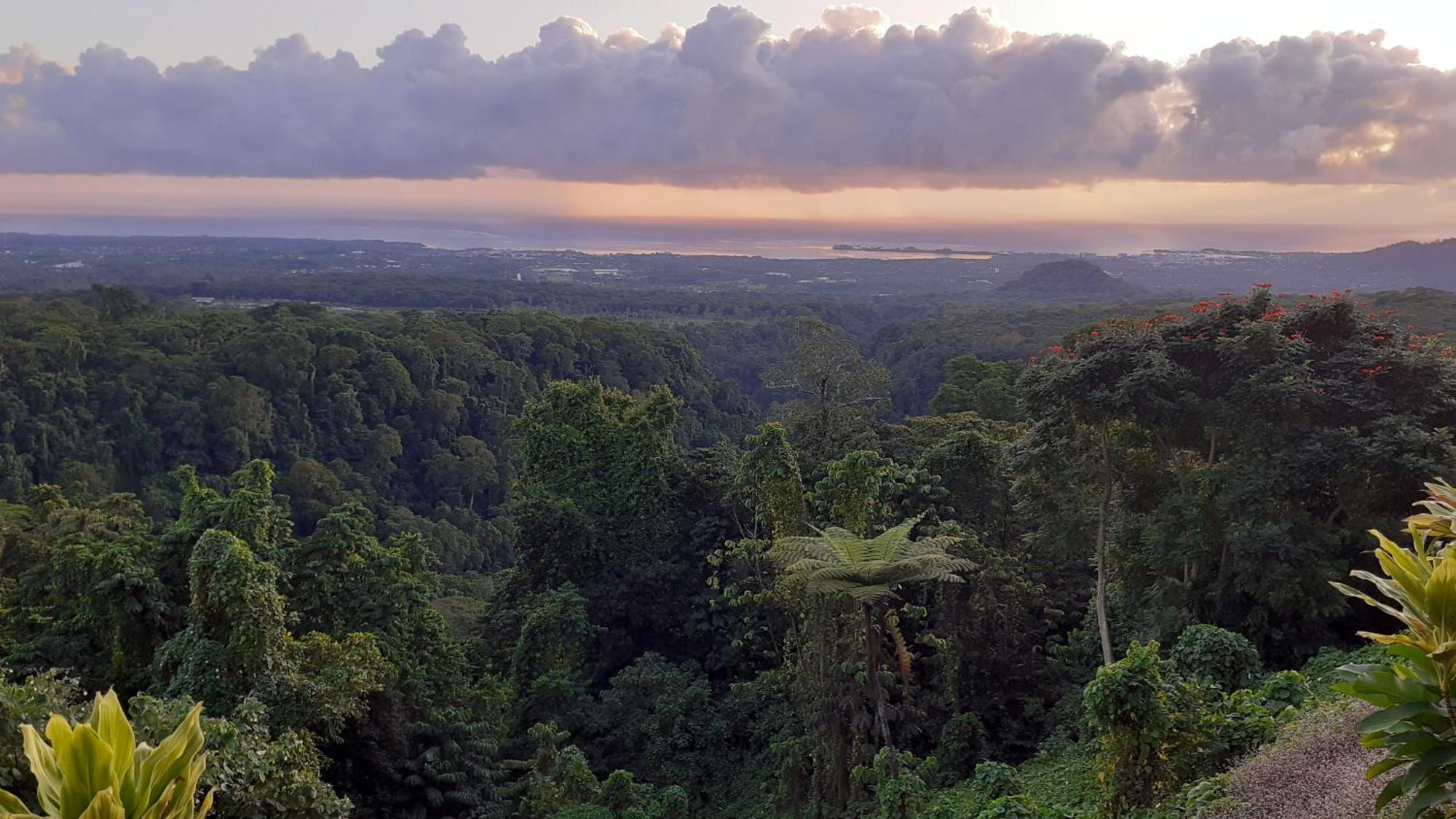 Dave Parker Eco Lodge Hotel 아피아 외부 사진