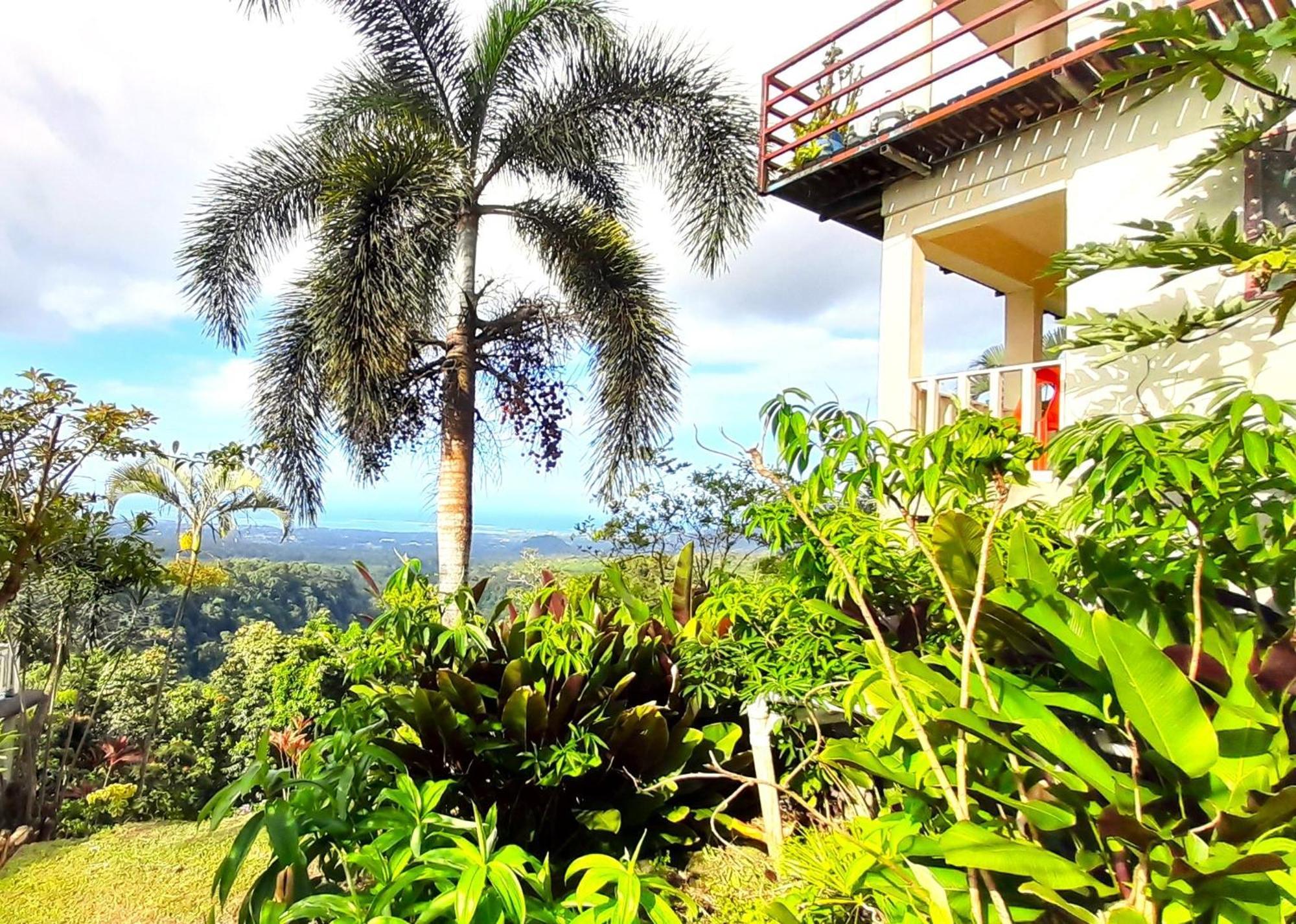 Dave Parker Eco Lodge Hotel 아피아 외부 사진