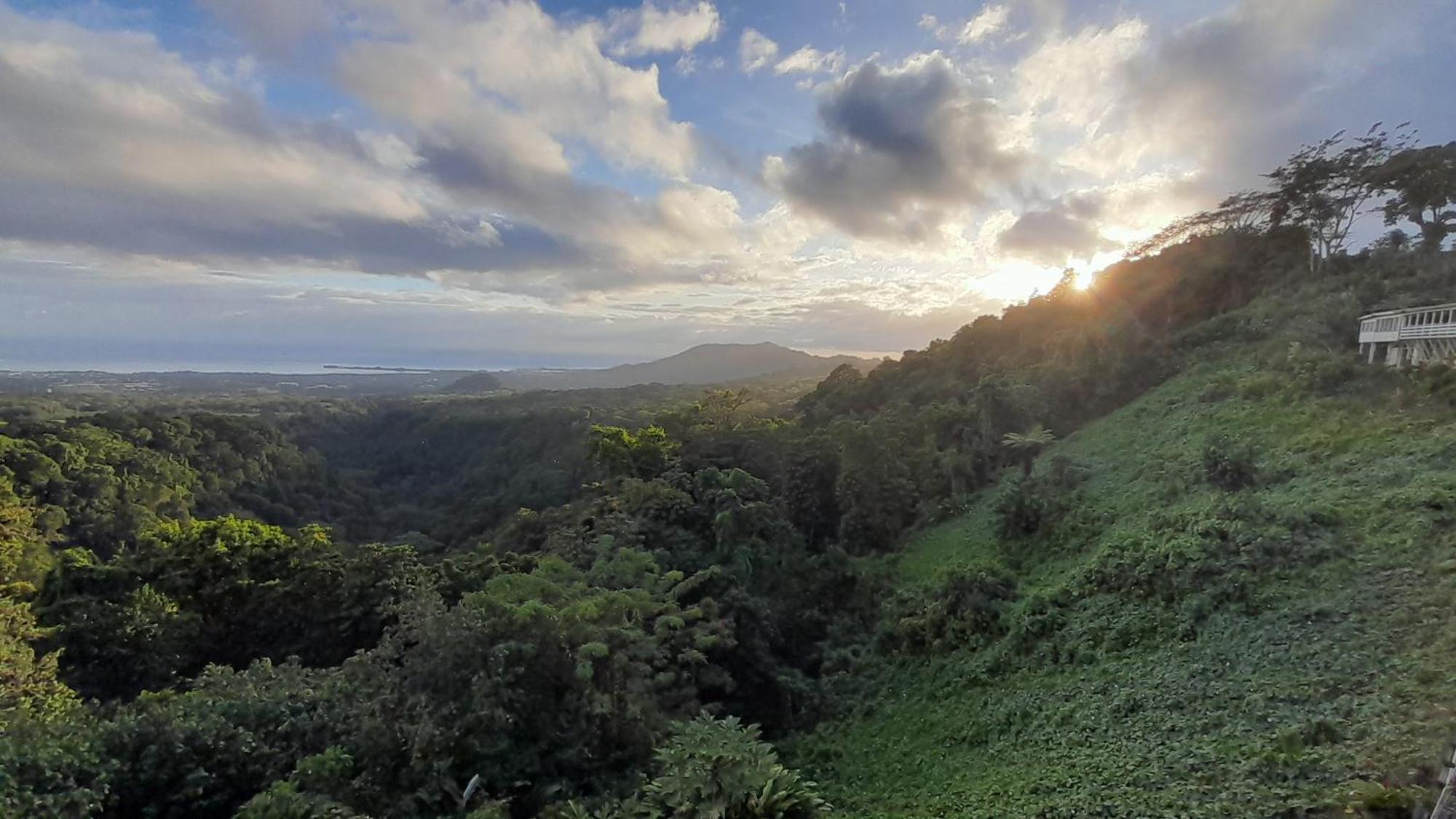 Dave Parker Eco Lodge Hotel 아피아 외부 사진