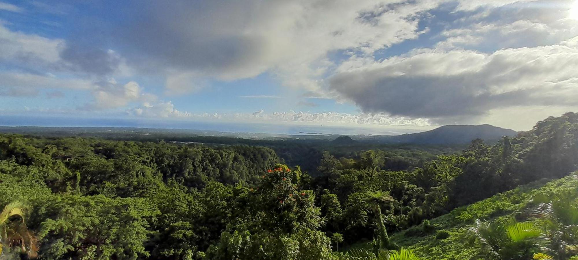 Dave Parker Eco Lodge Hotel 아피아 외부 사진