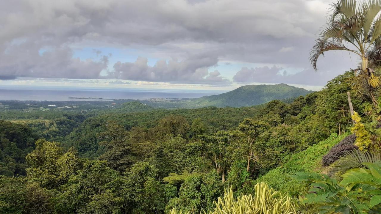 Dave Parker Eco Lodge Hotel 아피아 외부 사진