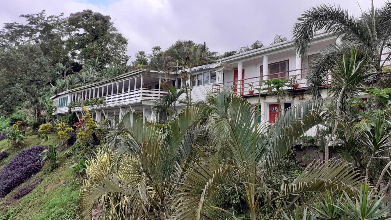 Dave Parker Eco Lodge Hotel 아피아 외부 사진