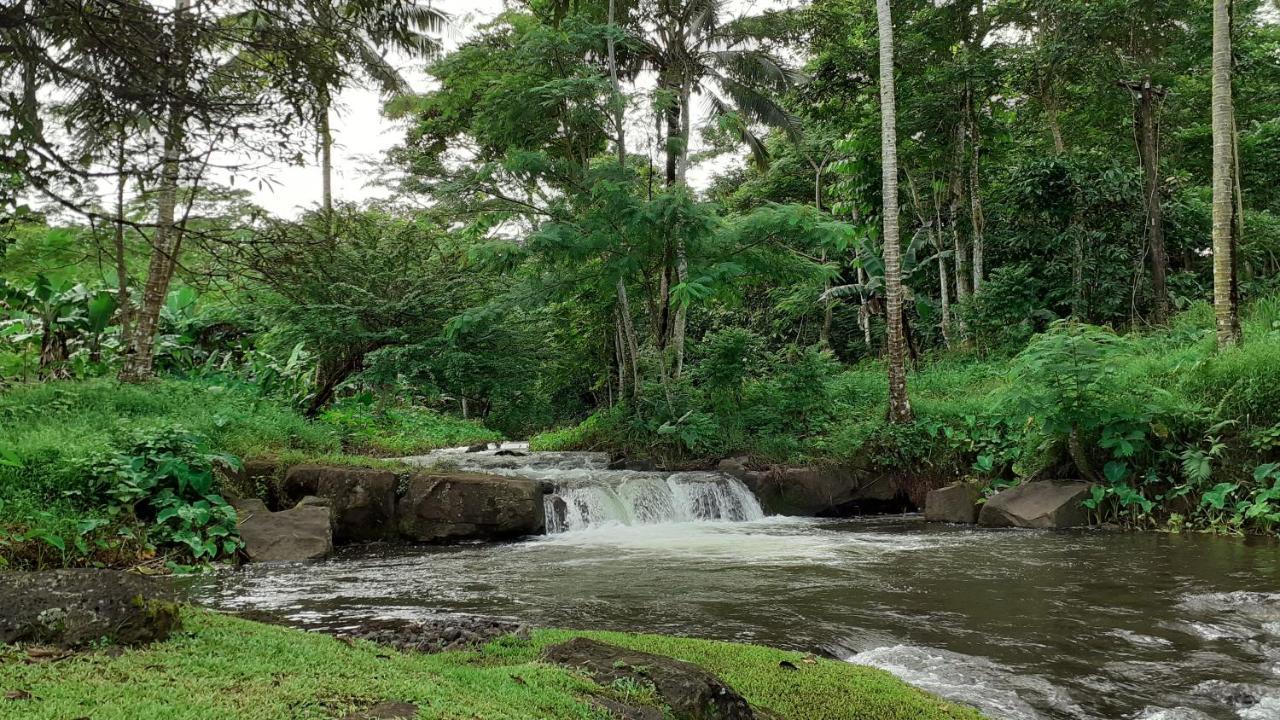 Dave Parker Eco Lodge Hotel 아피아 외부 사진